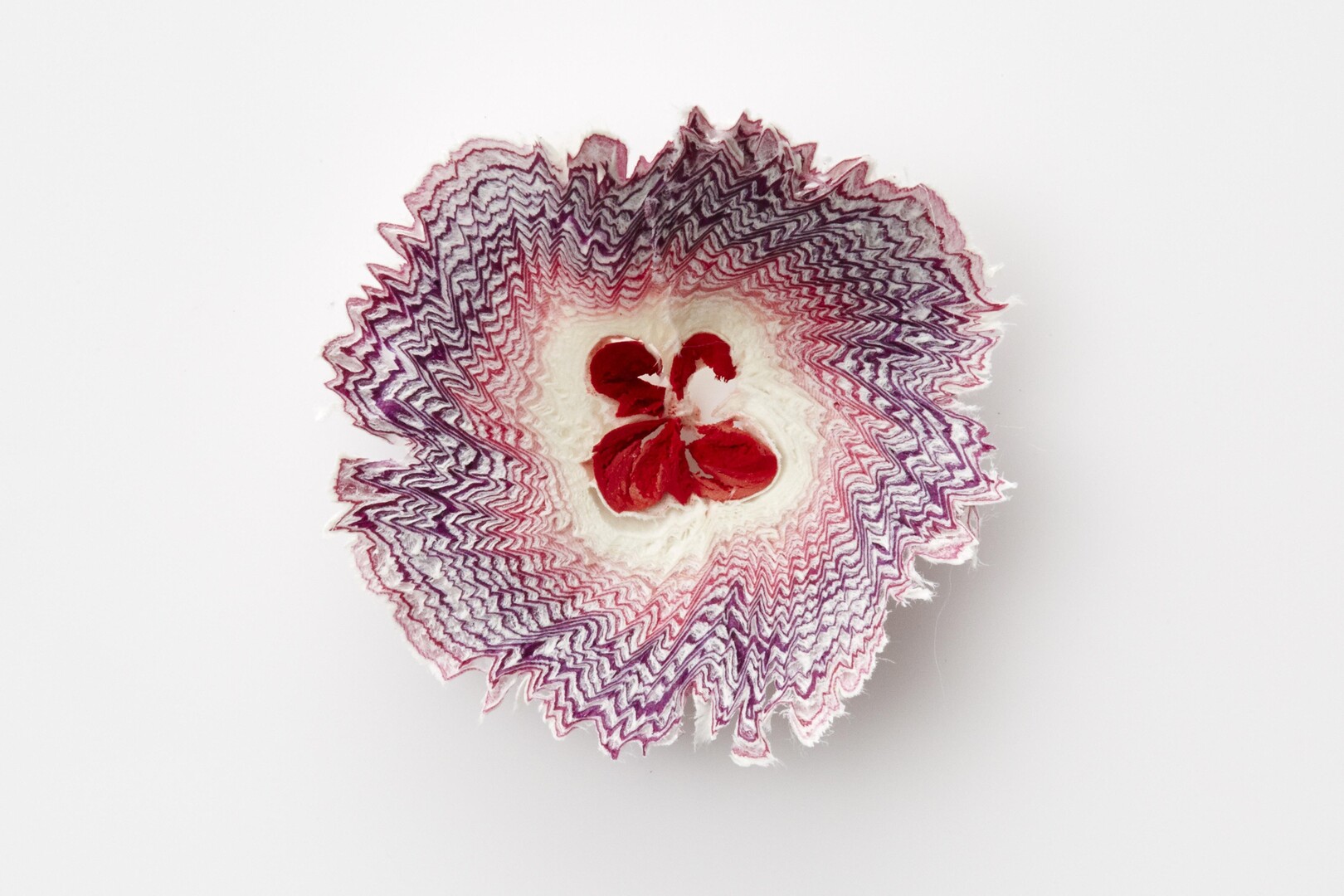 Subtle Delicate SUBTLE: Delicate or Infinitesimal – Japan House London