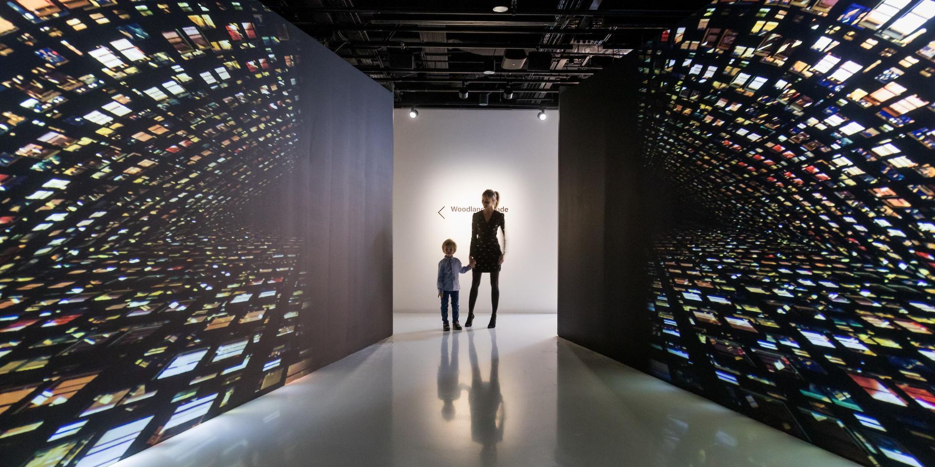 WOW: City Lights and Woodland Shade - Digital Art Encounters with