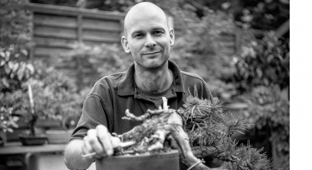 The Art of Bonsai  Japan House London